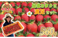 【事前受付】いちご 食べ比べ 約 560g ( かおり野 よつぼし 紅ほっぺ 恋みのり おいCベリー )  完熟 5品種 から 2種類 お届け 苺 イチゴ ストロベリー 産地直送 ご当地 果物 くだもの フルーツ デザート 食品 冷蔵 げんき農場 埼玉県 羽生市