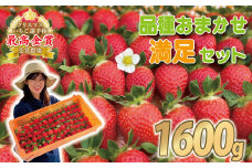 【事前受付】いちご 食べ比べ 約 1.6kg ( かおり野 よつぼし 紅ほっぺ 恋みのり おいCベリー )  完熟 5品種 から 2種類 お届け 苺 イチゴ ストロベリー 産地直送 ご当地 果物 くだもの フルーツ デザート 食品 冷蔵 げんき農場 埼玉県 羽生市