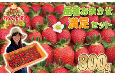 【事前受付】いちご 食べ比べ 約 800g ( かおり野 よつぼし 紅ほっぺ 恋みのり おいCベリー )  完熟 5品種 から 2種類 お届け 苺 イチゴ ストロベリー 産地直送 ご当地 果物 くだもの フルーツ デザート 食品 冷蔵 げんき農場 埼玉県 羽生市