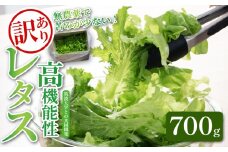 訳あり 高機能性 レタス 無農薬 700g グリーンオーク 産地直送 高機能性野菜 水耕栽培 新鮮 健康 弁当 フードロス ダイエット ベジタブル ヴィーガン ベジタリアン アイクス 埼玉県 羽生市 