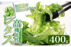高機能性 レタス 無農薬 400g グリーンリーフ 産地直送 高機能性野菜 水耕栽培 新鮮 健康 弁当 フードロス ダイエット ベジタブル ヴィーガン ベジタリアン アイクス 埼玉県 羽生市 