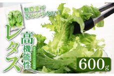高機能性 レタス 無農薬 600g フリルレタス 産地直送 高機能性野菜 水耕栽培 新鮮 健康 弁当 フードロス ダイエット ベジタブル ヴィーガン ベジタリアン アイクス 埼玉県 羽生市