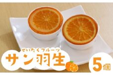 焼き菓子 サン羽生 5個 セット オレンジ シロップ漬け 焼菓子 お菓子 洋菓子 果物 デザート スイーツ 母の日 父の日 敬老の日 お中元 お歳暮 ギフト プレゼント 人気 ウィンズ・アーク 埼玉県 羽生市