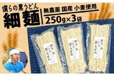 【細麺】黒うどん 250g 3袋 750g 乾麺 無農薬 麦 国産 小麦粉 うどん 麺 僕らの黒うどん 僕らの集会所 埼玉県 羽生市