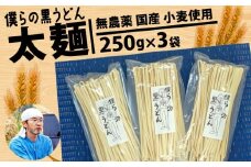 【太麺】黒うどん 250g 3袋 750g 乾麺 無農薬 麦 国産 小麦粉 うどん 麺 僕らの黒うどん 僕らの集会所 埼玉県 羽生市