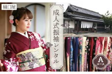 No.376 着物専門店「樋口屋」成人式・振袖レンタルＡコース　前撮り撮影会付コミコミプラン  