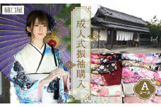 No.423 着物専門店「樋口屋」成人式の前撮り撮影会付コミコミプラン【振袖購入Aコース】  