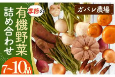 No.058 ガバレ農場の季節の有機野菜詰め合わせセット  