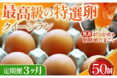 No.197 黄身がつかめる新鮮地たまごクイーンラン 赤玉50個入《定期便3ヶ月》  