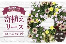 No.147 【季節の寄植えリース】ウォームセレクト＊花工房すなが＊  