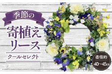 No.148 【季節の寄植えリース】クールセレクト＊花工房すなが＊