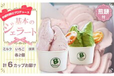 No.109 老舗煎餅店プロデュースのジェラート 基本の6個セット＊煎餅付＊ ／ ジェラート セット ジェラートセット アイス アイスクリーム 人気 おすすめ オススメ 詰め合わせ 美味しい おいしい 地元食材 スイーツ 煎餅