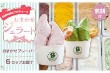 No.110 老舗煎餅店プロデュースのジェラート おまかせ6個セット＊煎餅付＊  