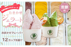No.158 老舗煎餅店プロデュースのジェラート おまかせ12個セット 煎餅付 ＜110ml×12個＞詰め合わせ　ギフト　贈り物　クリスマス　お歳暮　お正月　お中元　誕生日　内祝　アイスクリーム
