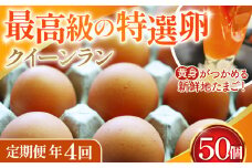 No.213 黄身がつかめる新鮮地たまごクイーンラン 赤玉50個入《定期便年4回》  