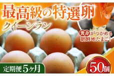 No.227 黄身がつかめる新鮮地たまごクイーンラン 赤玉50個入《定期便5ヶ月》  