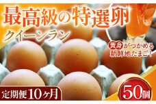 No.280 黄身がつかめる新鮮地たまごクイーンラン 赤玉50個入《定期便10ヶ月》 