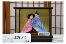 No.262 むすびな（小）ケース入り・流星［森田人形製作］ひな人形　雛人形