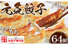 No.011 げんき餃子64個セット 冷凍生餃子 ギョーザ専門店 中華総菜 点心もちもち パリパリ