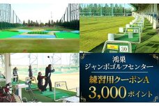 No.076 鴻巣ジャンボゴルフセンター　練習用クーポンA　ICカードにチャージして使える3000ポイント　300ヤード・88打席の解放感あふれる練習場