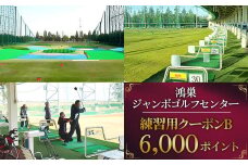 No.146 鴻巣ジャンボゴルフセンター　練習用クーポンB  