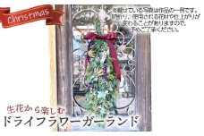 No.482 生花から楽しむドライフラワーガーランド【クリスマス】