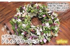 No.479-03 生花から楽しむドライフラワーリース【季節の草花 イエロー系】
