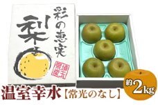 No.488 地域の伝統ブランド 常光のなし「温室幸水」 2kg 埼玉県鴻巣市産の梨 贈答用 化粧箱入り