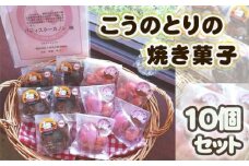 No.510 こうのとりの焼き菓子　10個セット ／ ケーキ グルテンフリー 米粉 寒天 贈り物 送料無料 埼玉県
