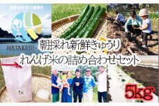 No.520 朝採れ新鮮きゅうりとれんげ米の詰め合わせセット　5kg ／ ご飯 キヌヒカリ キュウリ 野菜 埼玉県