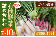 No.527 【有機野菜の定期便3ヶ月】ガバレ農場の季節の有機野菜詰め合わせセット ／ 有機JAS認定農場 採れたて 新鮮 詰合せ 埼玉県