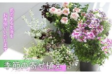 花のある暮らしで心もハッピー。季節の寄せ植え　【11218-0060】