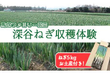 深谷でねぎ収穫体験（お土産ねぎ5kg）　【11218-0093】