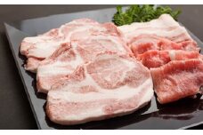 ＜３カ月定期便＞「むさし麦豚」の豚肉を堪能定期便　【11218-0086】