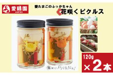 愛鶏園　愛たまごのふっかちゃん花咲くピクルス　【11218-0039】