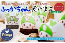 愛鶏園　ふっかちゃん愛たまご２０個（白卵１０個×２パック）　【11218-0038】