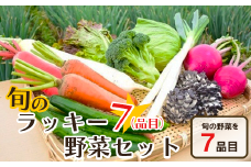 旬のラッキー７野菜セット（野菜７種詰合せ）　【11218-0114】
