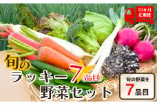 ＜１０回定期便＞旬のラッキー７野菜セット（野菜７種詰合せ）　【11218-0135】