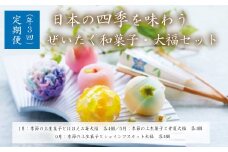 ＜定期便＞日本の四季を味わう　和菓子・大福セット（３回コース）　【11218-0113】