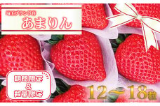 ＜先行受付＞埼玉県ブランドいちご『あまりん』　12～18粒　【11218-0033】