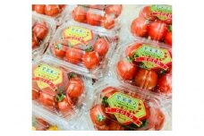フルーツトマト５品種・全８パック ＜『愛菜美人』ゴールド規格＞　【11218-0002】