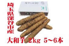 土付き大和芋AA品2kg（5～6本）　【11218-0137】