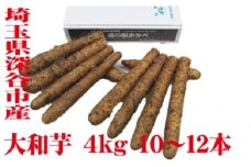 土付き大和芋AA品4kg（10～12本）　【11218-0138】