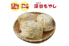 深谷もやし2kg　【11218-0136】