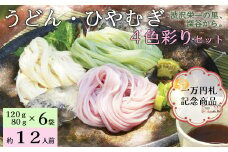 渋沢栄一の里　4色彩りのうどん・ひやむぎセット　【11218-0168】
