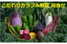 力丸さんのこだわりカラフル野菜　【11218-0182】