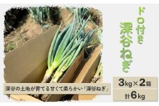 深谷ねぎ（ドロ付き）3kg×2箱／計6kg　【11218-0210】