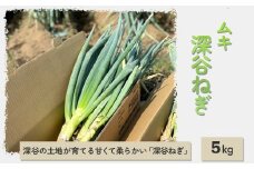 深谷ねぎ（ムキ）　5kg　【11218-0209】