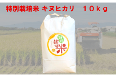 特別栽培米　キヌヒカリ　10kg　【11218-0221】