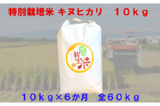 【6か月定期便】特別栽培米　キヌヒカリ　10kg＜全60kg＞　【11218-0223】